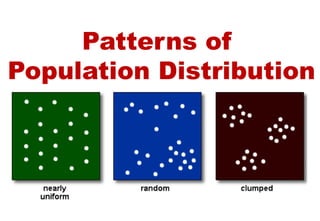 Understanding Patterns of Population Distribution and Species Diversity ...