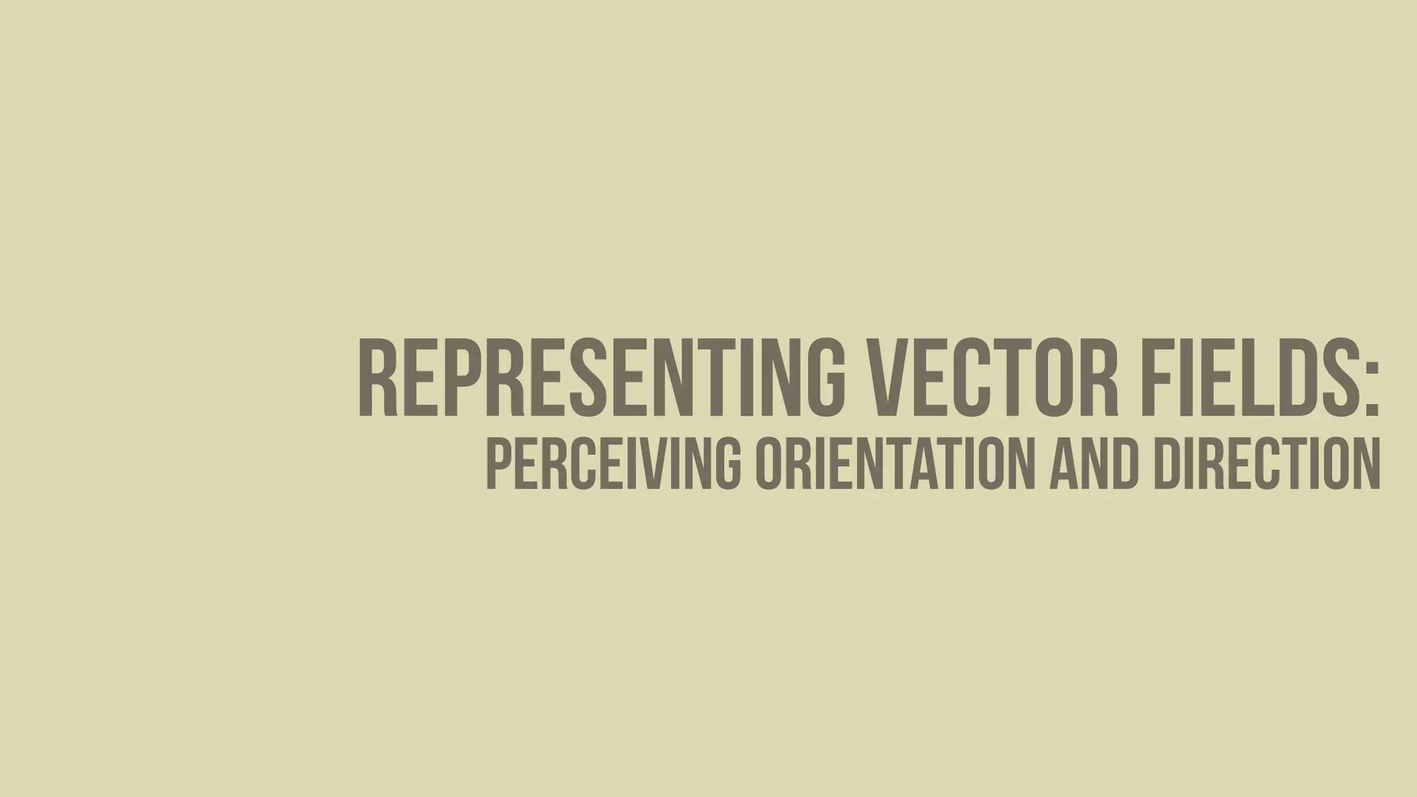 Representing Vector Fields: 
Perceiving Orientation and Direction
 