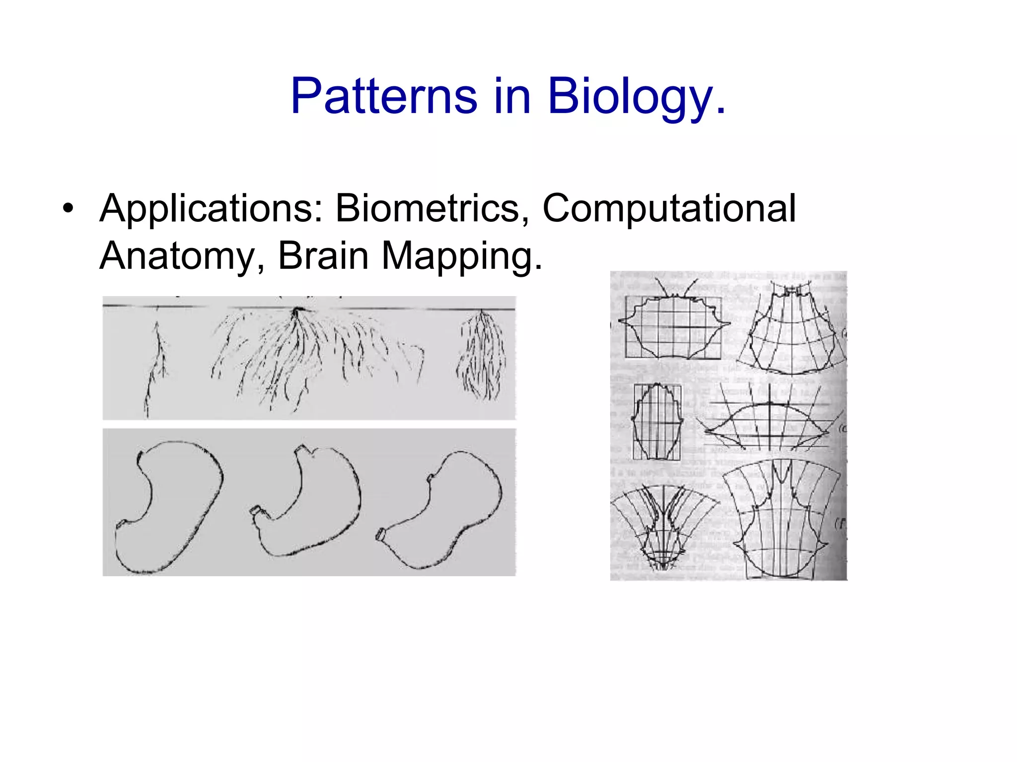 Patterns in Biology.
• Applications: Biometrics, Computational
Anatomy, Brain Mapping.
 