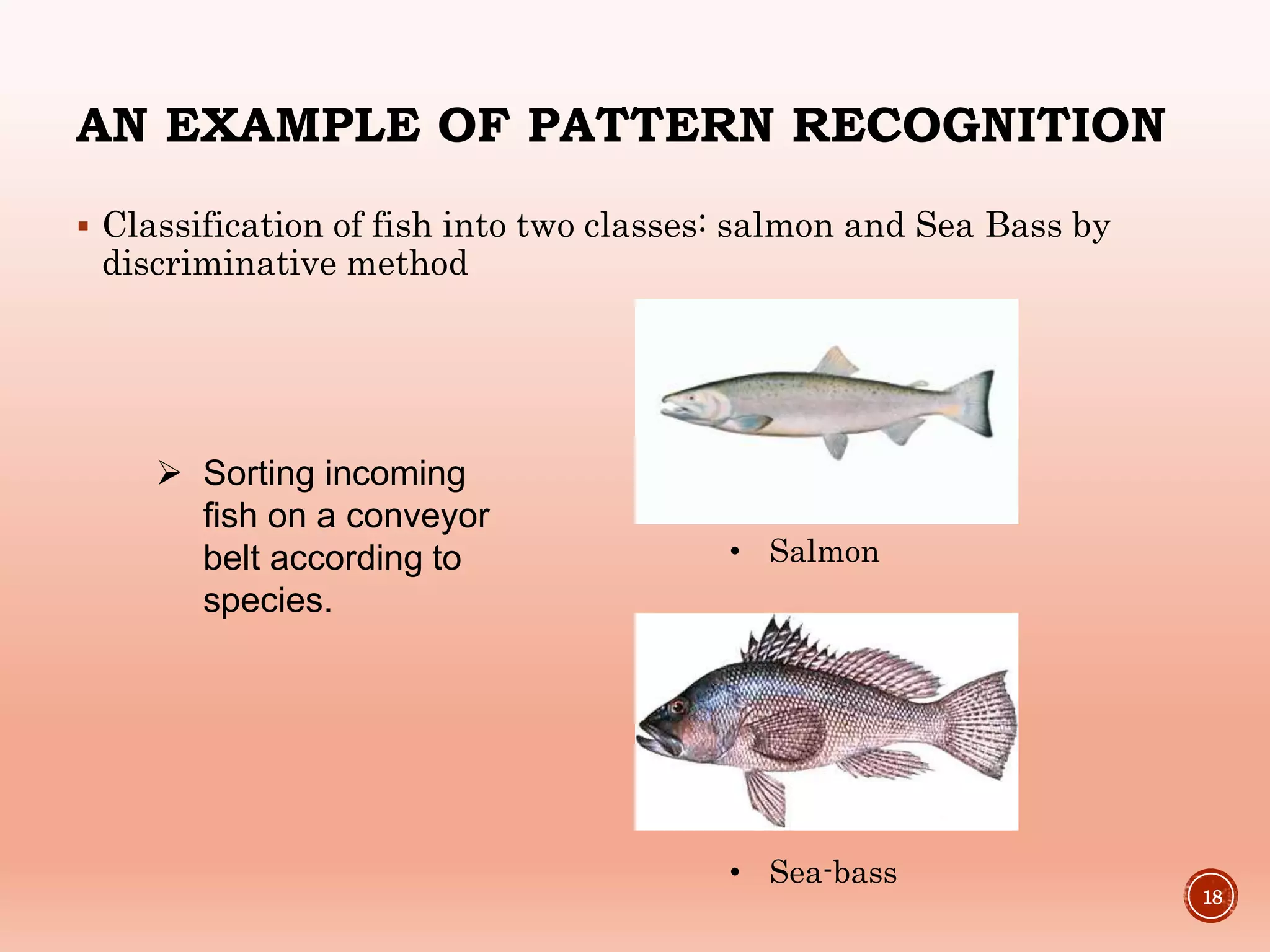AN EXAMPLE OF PATTERN RECOGNITION
 Classification of fish into two classes: salmon and Sea Bass by
discriminative method
18
 Sorting incoming
fish on a conveyor
belt according to
species.
• Salmon
• Sea-bass
 