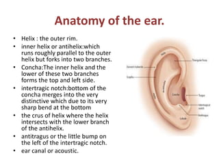 Inner Ear Rims Pattern recognition ear as a biometric | PPTX