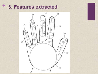 + 3. Features extracted
 