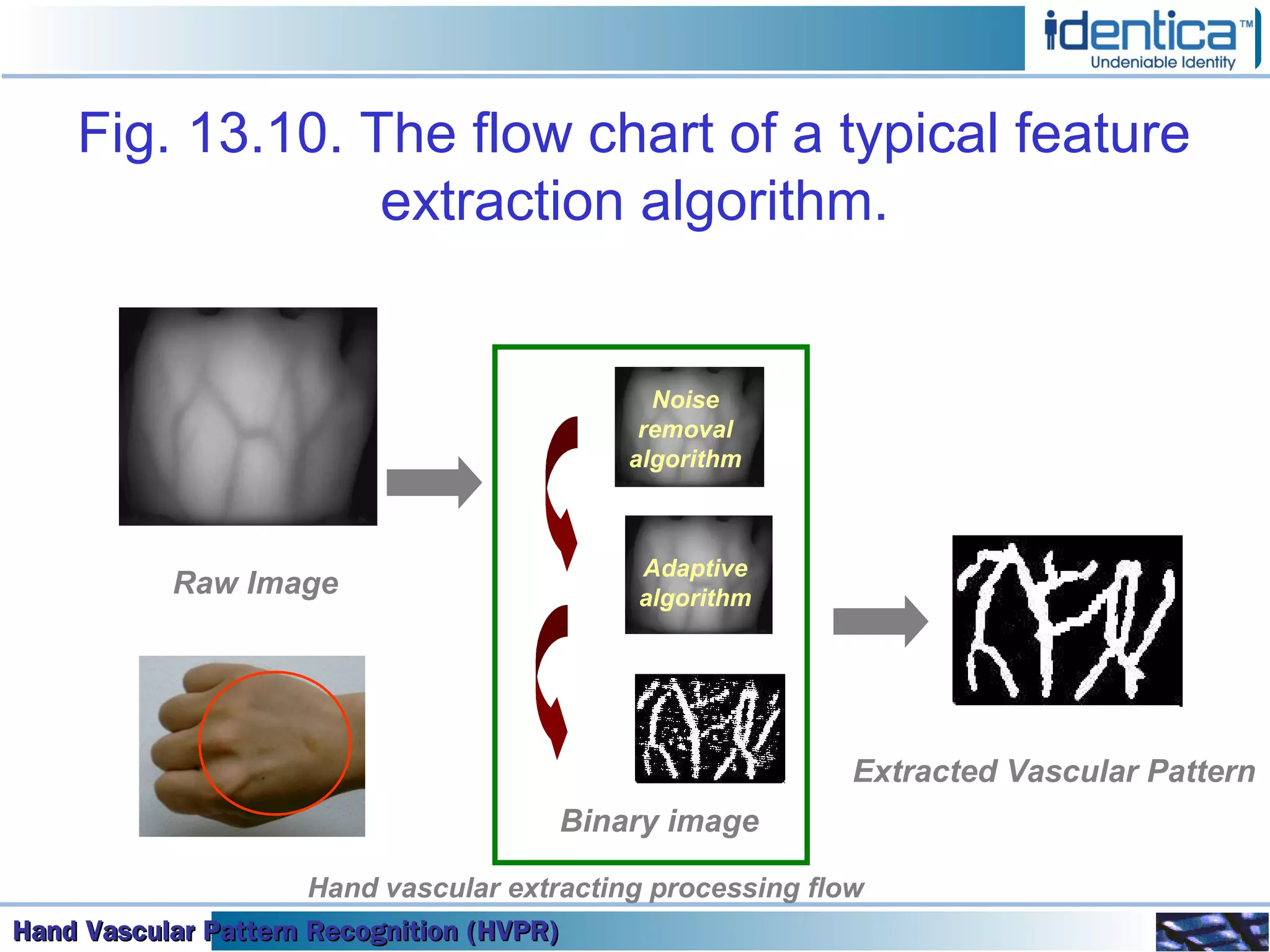Hand Vascular Pattern Recognition (HVPR)Hand Vascular Pattern Recognition (HVPR)Hand Vascular Pattern Recognition (HVPR)Hand Vascular Pattern Recognition (HVPR)
Fig. 13.10. The flow chart of a typical feature
extraction algorithm.
Noise
removal
algorithm
Adaptive
algorithm
Raw Image
Hand vascular extracting processing flow
Extracted Vascular Pattern
Binary image
 