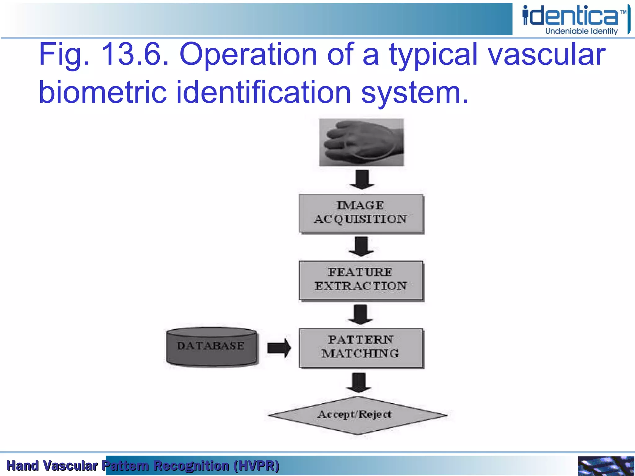 Hand Vascular Pattern Recognition (HVPR)Hand Vascular Pattern Recognition (HVPR)Hand Vascular Pattern Recognition (HVPR)Hand Vascular Pattern Recognition (HVPR)
Fig. 13.6. Operation of a typical vascular
biometric identification system.
 