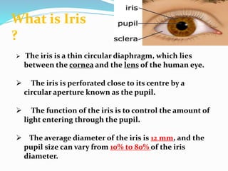 Pattern recognition IRIS recognition | PPTX