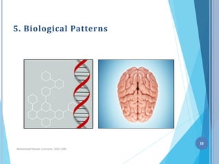 Patterns Biology Definition Introduction to Pattern recognition | PDF