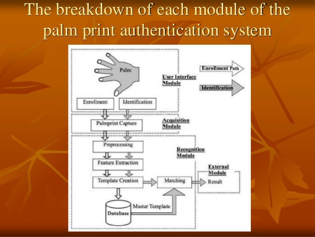 Pattern recognition palm print authentication system