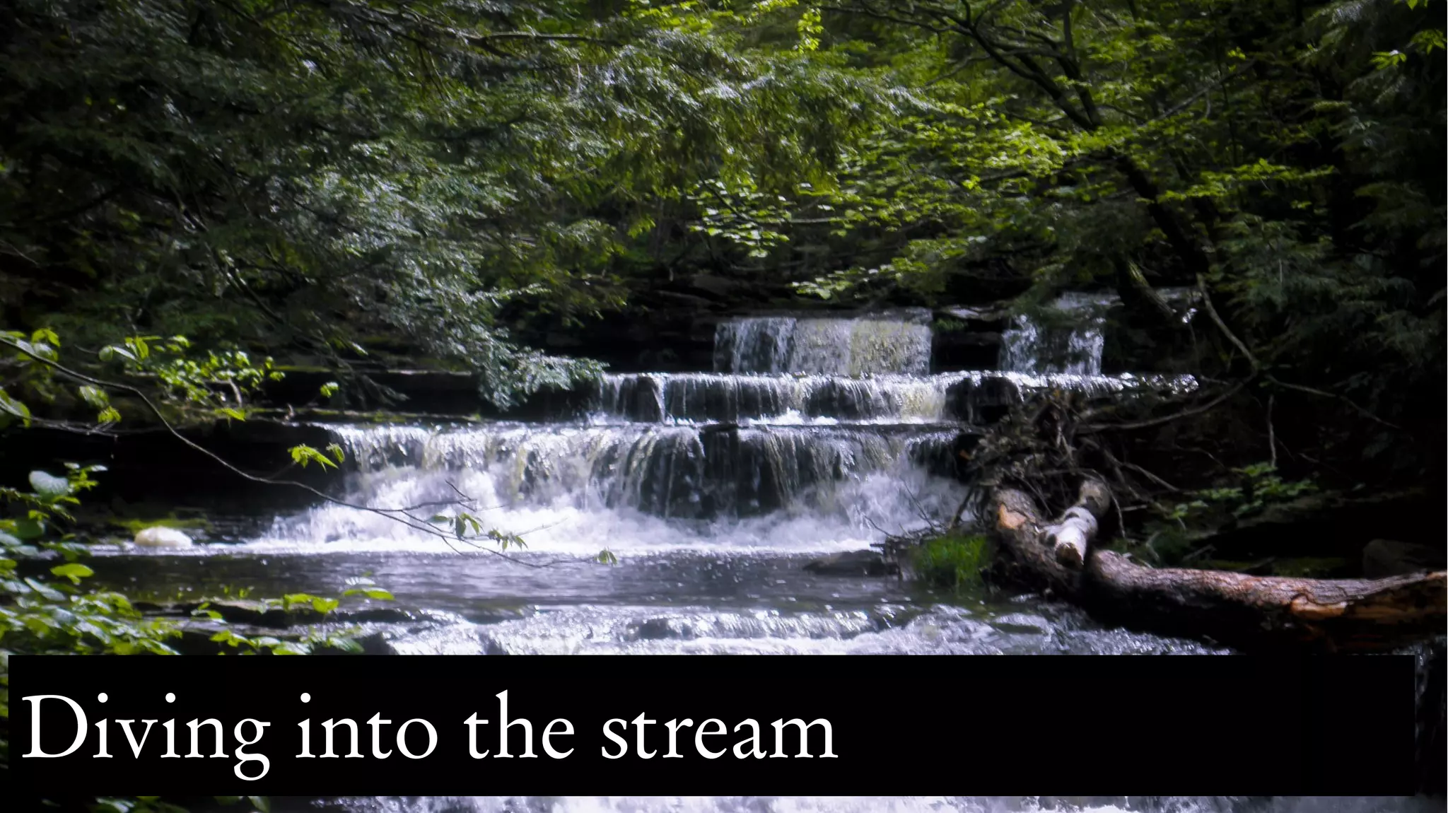 Diving into the stream
 