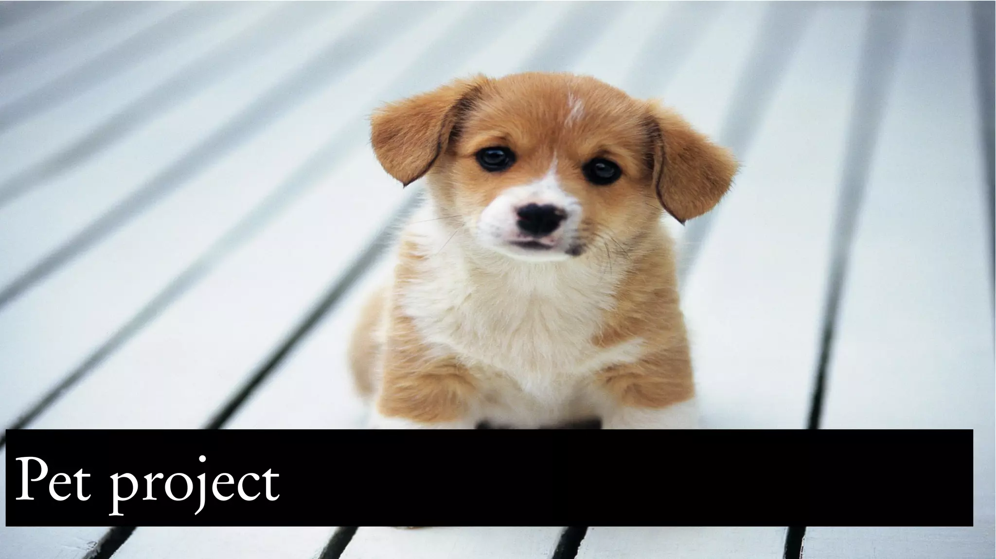 Pet project
 