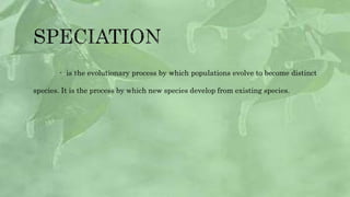 Patterns-of-Modification.pptx
