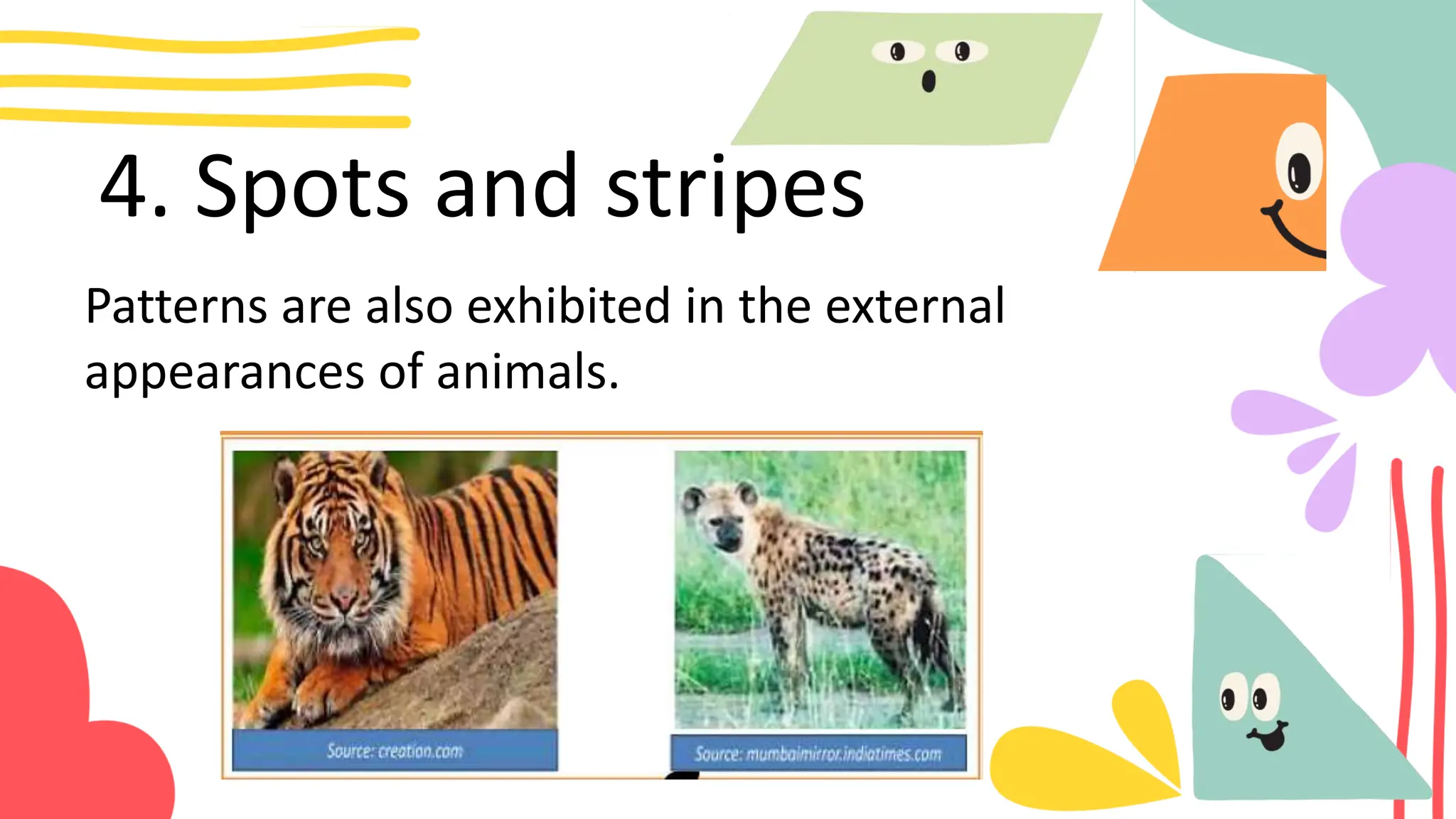 4. Spots and stripes
Patterns are also exhibited in the external
appearances of animals.
 