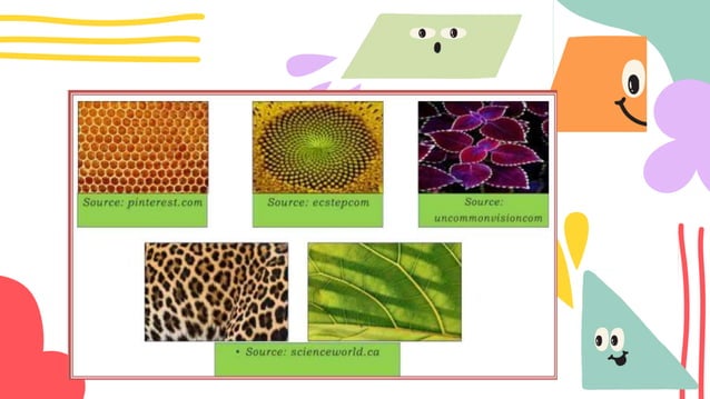 Patterns and Numbers in nature and the World.pptx
