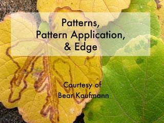 Patterns, Pattern Application, & Edge Courtesy of  Bear Kaufmann 