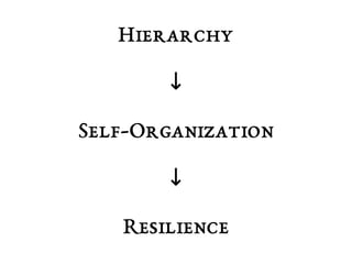 Hierarchy 
↓ 
Self-Organization 
↓ 
Resilience 
 