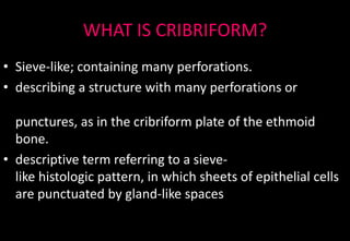 WHAT IS CRIBRIFORM?
• Sieve-like; containing many perforations.
• describing a structure with many perforations or
punctures, as in the cribriform plate of the ethmoid
bone.
• descriptive term referring to a sieve-
like histologic pattern, in which sheets of epithelial cells
are punctuated by gland-like spaces
 