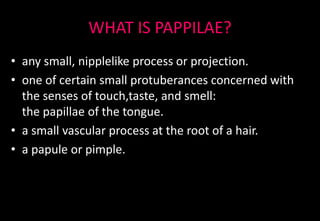 WHAT IS PAPPILAE?
• any small, nipplelike process or projection.
• one of certain small protuberances concerned with
the senses of touch,taste, and smell:
the papillae of the tongue.
• a small vascular process at the root of a hair.
• a papule or pimple.
 