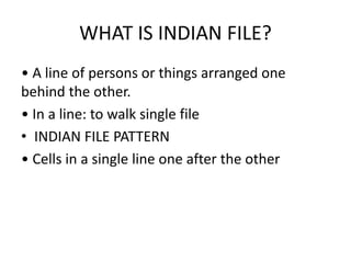 Indian File Example Histopathological Patterns | PPTX