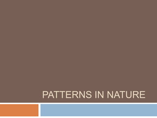 PATTERNS IN NATURE

 