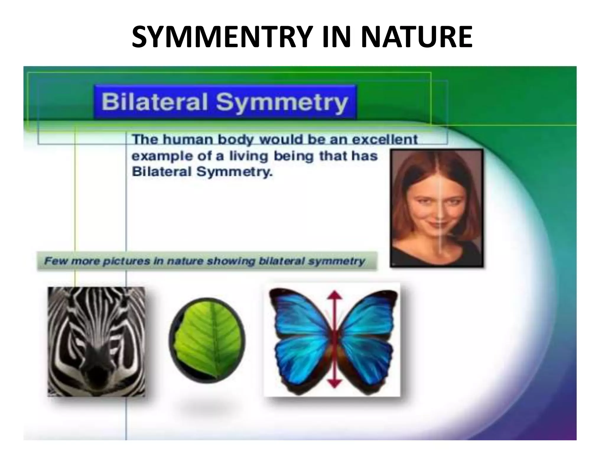 SYMMENTRY IN NATURE