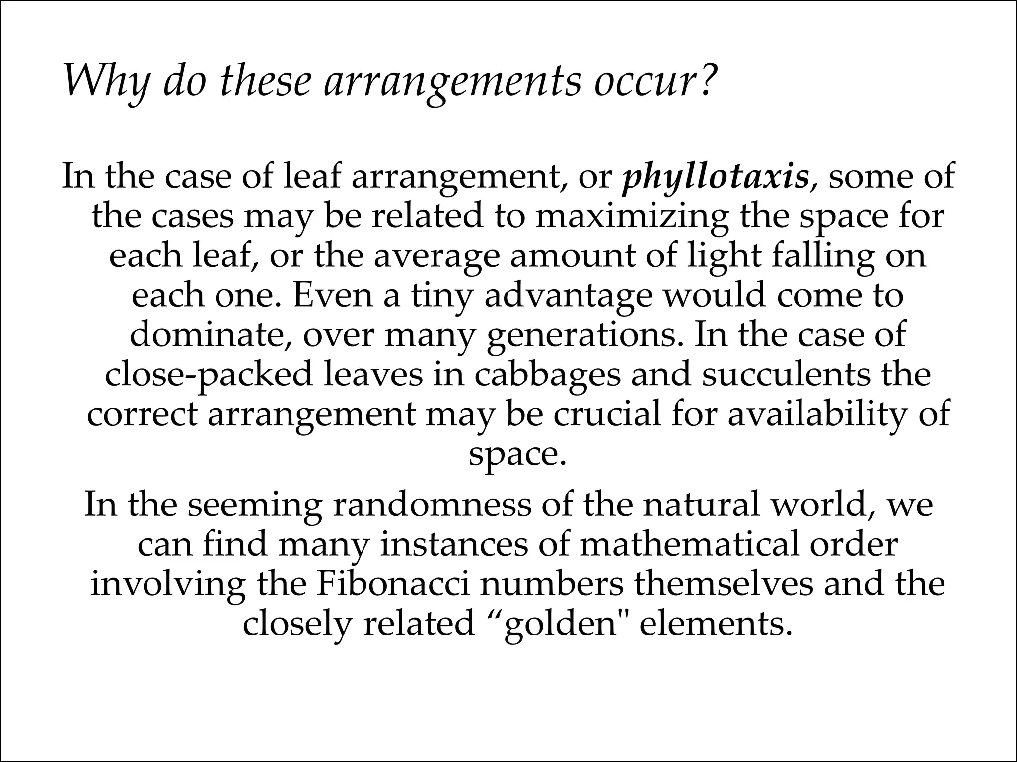 Why do these arrangements occur?
In the case of leaf arrangement, or phyllotaxis, some of
the cases may be related to maximizing the space for
each leaf, or the average amount of light falling on
each one. Even a tiny advantage would come to
dominate, over many generations. In the case of
close-packed leaves in cabbages and succulents the
correct arrangement may be crucial for availability of
space.
In the seeming randomness of the natural world, we
can find many instances of mathematical order
involving the Fibonacci numbers themselves and the
closely related “golden" elements.
 