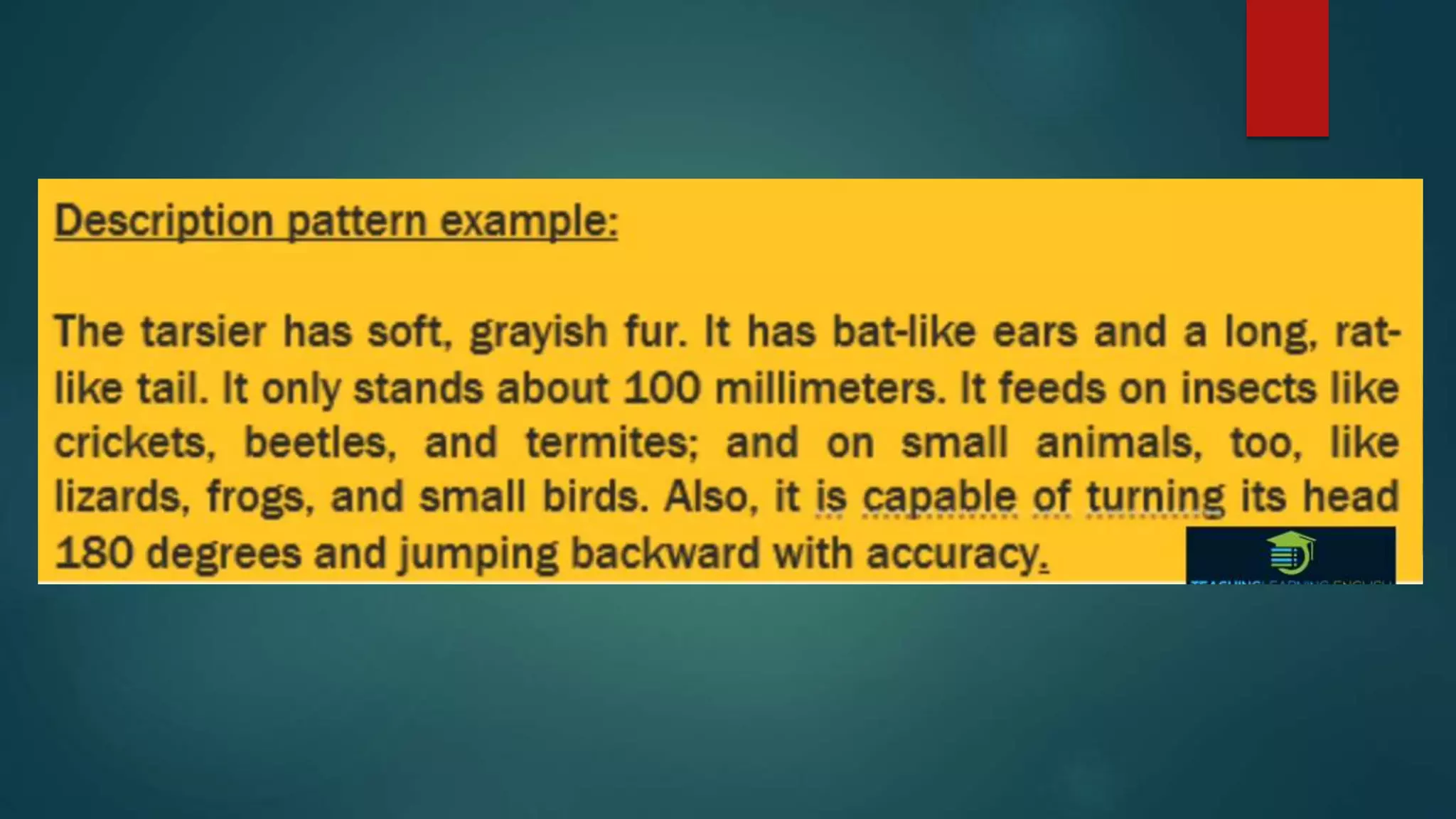PATTERNS OF DEVELPOMENT pptx patterns-of-develpoment-pptx