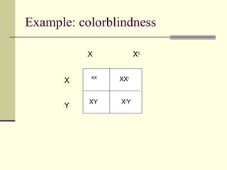 Patterns of heredity and human genetics | PPT