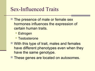 Patterns of heredity and human genetics | PPT