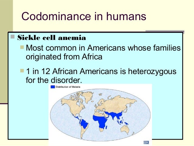 Patterns of heredity and human genetics