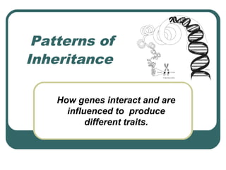 Patterns of
Inheritance

    How genes interact and are
      influenced to produce
           different traits.
 