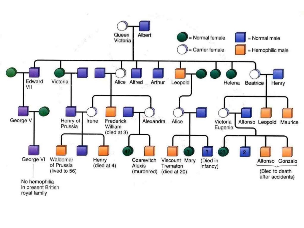 Patterns of Inheritance