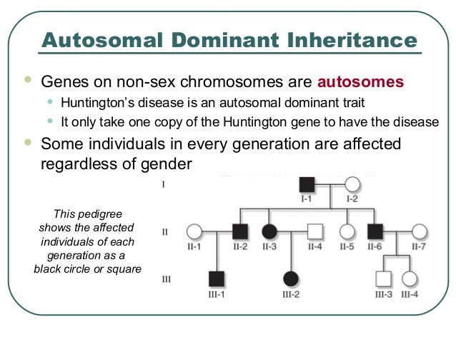 Patterns Of Inheritance Custom Patterns Of Inheritance Patterns Of Inheritance Custom Patterns Of Inheritance