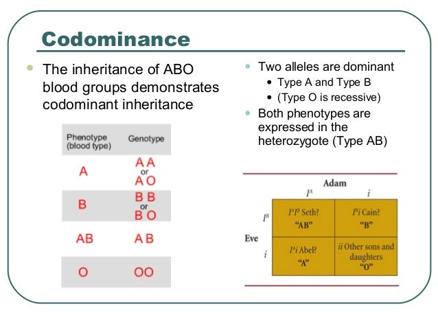 Patterns Of Inheritance Inspiration Patterns Of Inheritance Patterns Of Inheritance Inspiration Patterns Of Inheritance