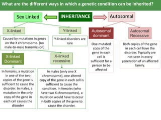 Patterns of inheritance | PPTX