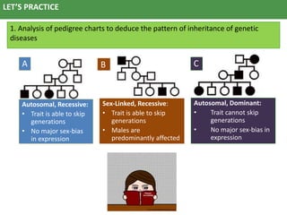 Inheritance Patterns Genetics Chart.pdf Patterns of inheritance | PPTX