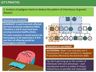 Inheritance Patterns Genetics Chart.pdf Patterns of inheritance | PPTX