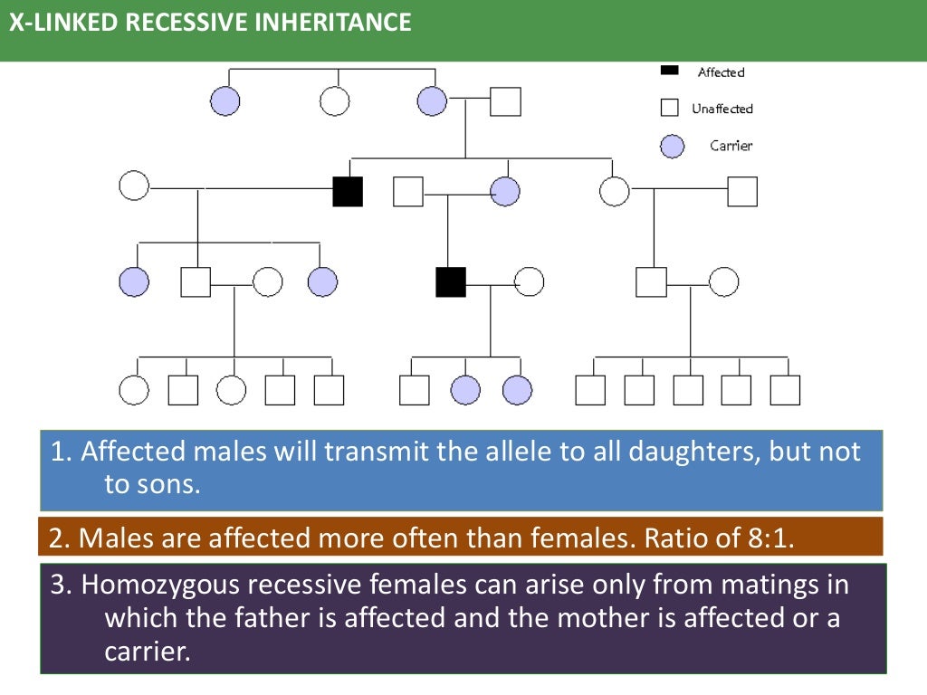 Patterns of inheritance