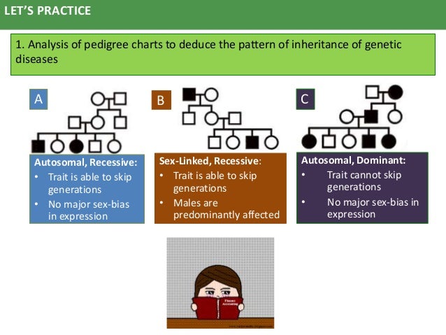 Patterns of inheritance
