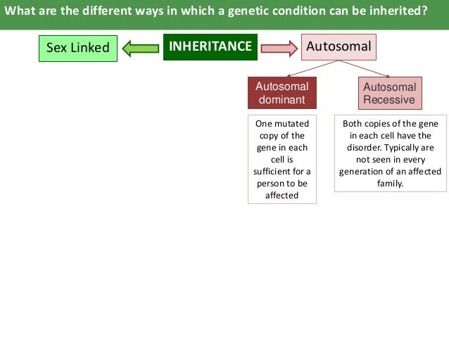 In Pedigree Charts Autosomal Recessive Disorders Typically