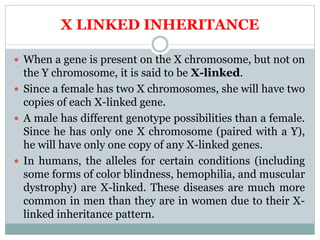 Patterns of Inheritance (Genetics) | PPTX