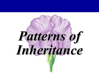 Patterns ofPatterns of
InheritanceInheritance
 