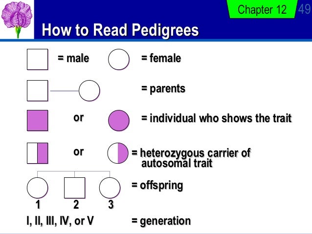 patterns of inheritance modified how to read pedigrees