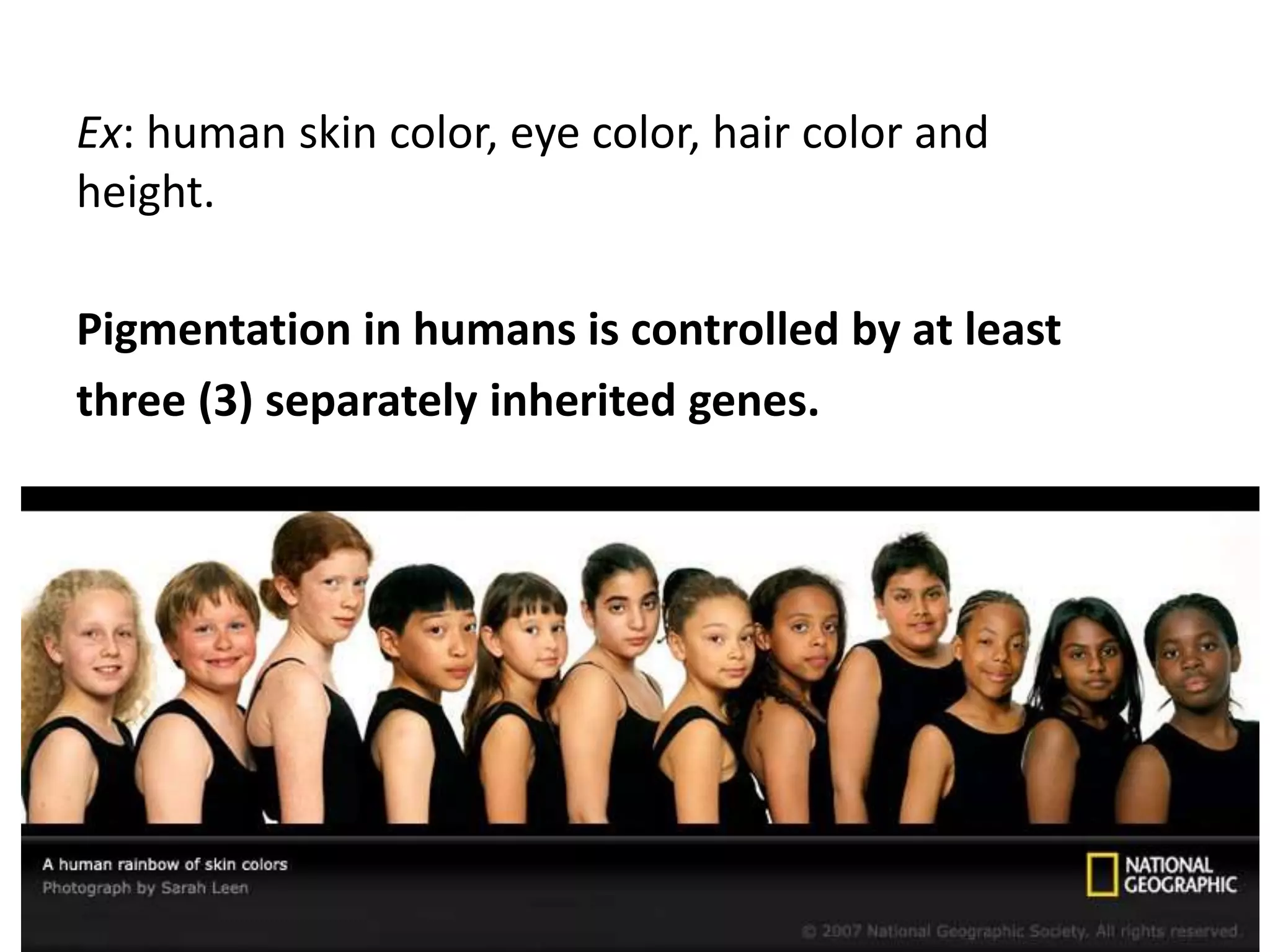 Ex: human skin color, eye color, hair color and
height.
Pigmentation in humans is controlled by at least
three (3) separately inherited genes.
 
