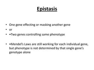 Epistasis
• One gene effecting or masking another gene
• or
• •Two genes controlling same phenotype
• •Mendel’s Laws are still working for each individual gene,
but phenotype is not determined by that single gene’s
genotype alone
 