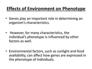 Effects of Environment on Phenotype
• Genes play an important role in determining an
organism’s characteristics.
• However, for many characteristics, the
individual’s phenotype is influenced by other
factors as well.
• Environmental factors, such as sunlight and food
availability, can affect how genes are expressed in
the phenotype of individuals.
 