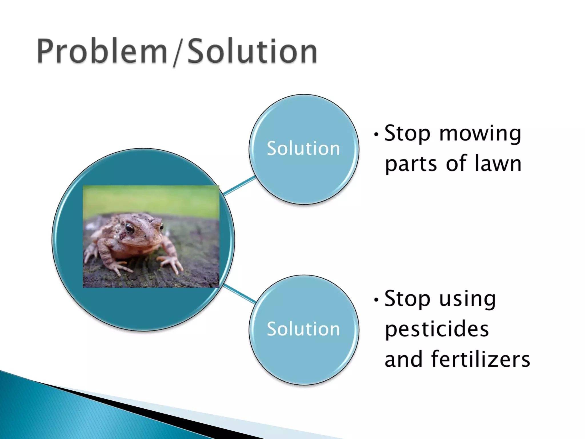 Patterns of organization part 1