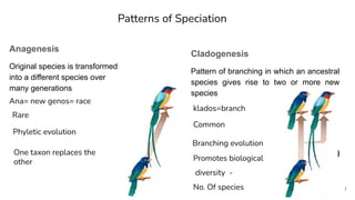Anagenesis
Original species is transformed
into a different species over
many generations
Patterns of Speciation
Cladogenesis
Pattern of branching in which an ancestral
species gives rise to two or more new
species
1
klados=branch
Common
Branching evolution
Promotes biological
diversity -
No. Of species
Ana= new genos= race
Rare
Phyletic evolution
One taxon replaces the
other
 