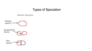 Types of Speciation
Allopatric Speciation
2
Original
species
Geographical
Barrier
New
species
 