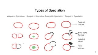 Types of Speciation
Allopatric Speciation
8
Sympatric Speciation Parapatric Speciation Peripatric Speciation
Original
spec...