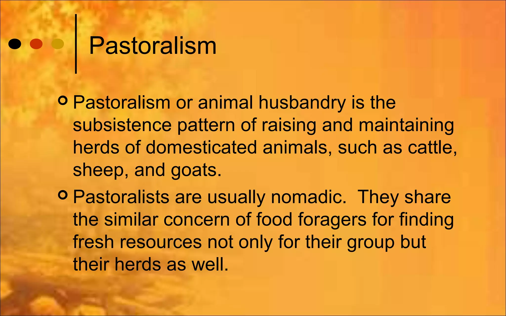 Patterns of subsistence PPT