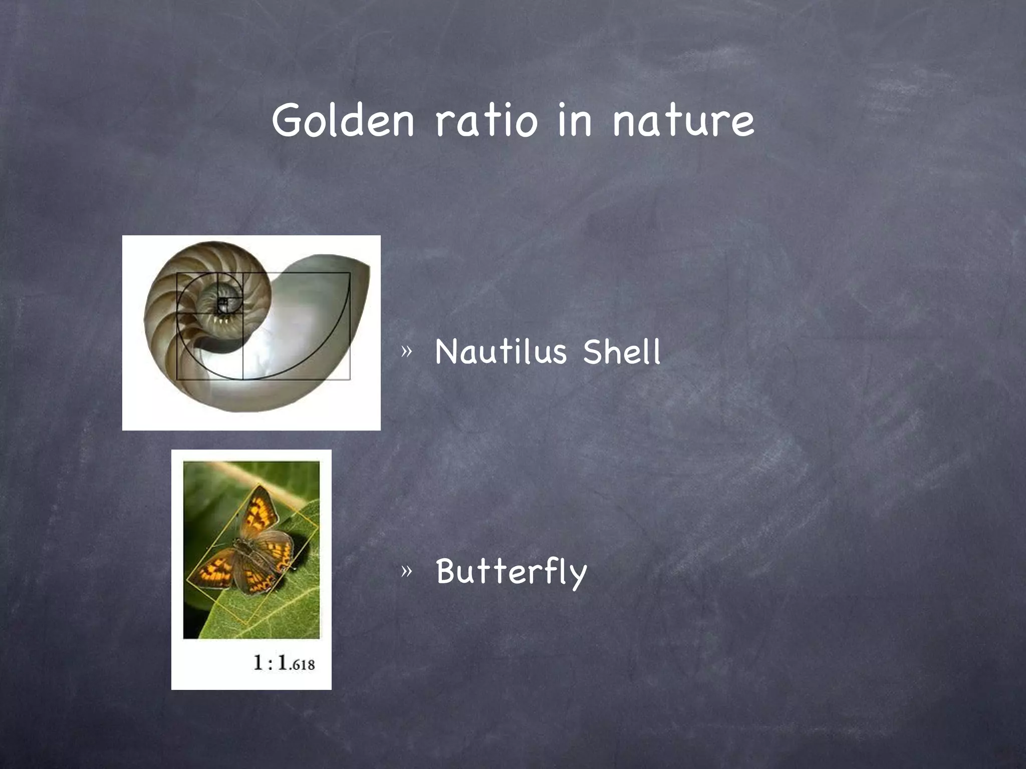 Golden ratio in nature



     »   Nautilus Shell




     »   Butterfly
 